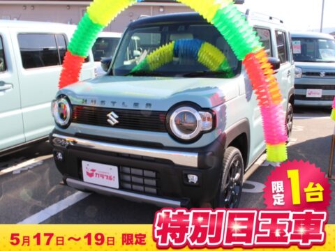 ハスラー　タフワイルド